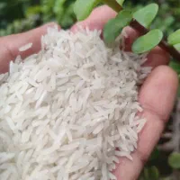 برنج مجلسی محلی پاکستانی