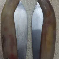 چاقو چوپانی|کلکسیون اشیاء عتیقه|شاهرود, |دیوار