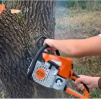 قطع و هرس درخت با اره برقی