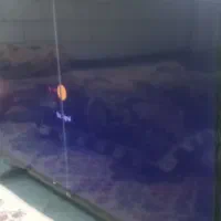 تلویزیون ال ای دی50|تلویزیون و پروژکتور|آزادشهر, |دیوار