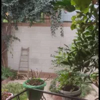 خانه ویلایی ۱۷۲ متر بازسازی شده|فروش خانه و ویلا|رشت, شالکو|دیوار