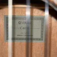گیتار c40|گیتار، بیس، امپلیفایر|مشهد, سجاد شهر|دیوار