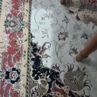فرش ۴ متری
