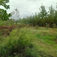 فروش-زمین-روستایی-امامده