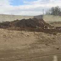 کود گاوی و گوسفندی