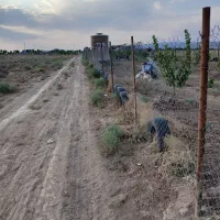 فروش ۲۵۰متر  باغ وباغچه مزرعه نو|فروش زمین و ملک کلنگی|قم, شهرک مهدیه (مدرس)|دیوار
