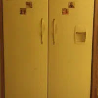 یخجال دو قلو|یخچال و فریزر|بیجار, |دیوار