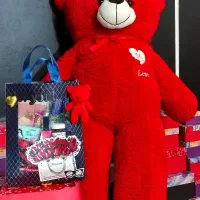 *خرس ولنتاین 2 متری*