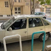 دوو سیلو رنگ بط نقره ای