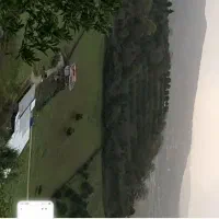 زمین باغ مرکبات ۸۳۰ متر|فروش زمین و ملک کلنگی|پایین هولار, |دیوار