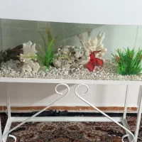 آکواریوم شرکتی وخانگی