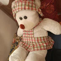 عروسک خرسی بزرگ نو