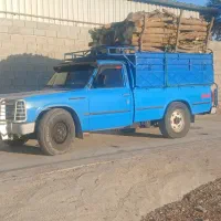 خرید‌چوب‌مرکبات‌‌‌درخت‌خانگی‌.بید‌سیا‌ه‌اکالیبتوس‌