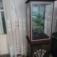 آکواریوم تمیز نو