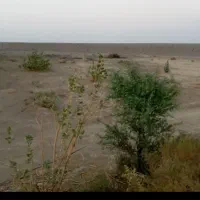 اجاره زمین کشاورزی دردوراهی جبراباد دلگان