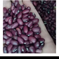 لوبیا قرمز درجه یک اعلا