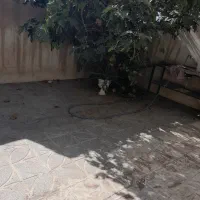 منزل  اجاره ای|اجارهٔ خانه و ویلا|خمینیشهر, |دیوار