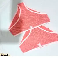 سوتین زنانه|لباس|سرخه, |دیوار