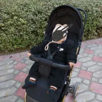 کالسکه عصایی