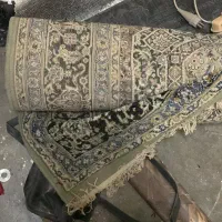 فرش|فرش|چالوس, |دیوار