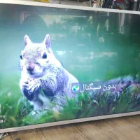 تلوزیون اسنوا ۵۵ اینج اسمارت