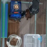 آکواریوم|ماهی|بجنورد, |دیوار