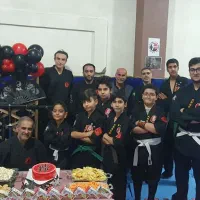 آموزش نینجوتسو