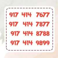 09172274464|سیم‌کارت|شیراز, عفیف‌آباد|دیوار