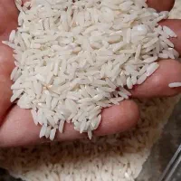 برنج طارم محلی