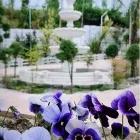 فروش زمین آماده ساخت ۲۵۰ متری|فروش زمین و ملک کلنگی|دابودشت, |دیوار