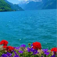 مشاوره و راهنمایی شخصی