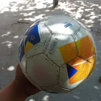 توپ چمن و سالن|ورزشهای توپی|تربت جام, حافظ|دیوار