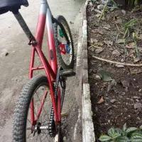 دوچرخه 20|دوچرخه، اسکیت، اسکوتر|چوبر, |دیوار