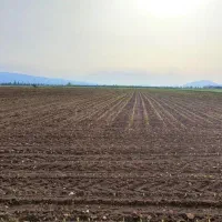 6-هکتار-زمین-کشاورزی