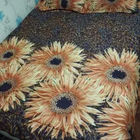 رو تختی دو نفره