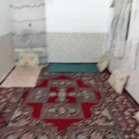 اجاره خانه ویلایی قدیمی سه خوابه کوچه دارلقرآن|اجارهٔ خانه و ویلا|بندر گناوه, |دیوار