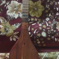 یک عددستار سالم بدون هیچگونه عیب و ایراد|سازهای سنتی|کرمانشاه, |دیوار