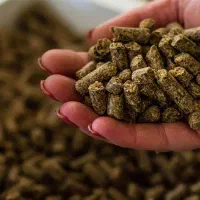 فروش غذا ماهی کپور آمور پلت