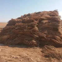 جارو محلی کلی وجزیی