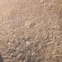 فروش کود حیوانی گوسفندی|لوازم جانبی حیوانات|کرمانشاه, |دیوار