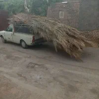 فروش نخل خرما( برگ درخت خرما)