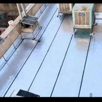 ایزوگام وقیر گونی با اقساط بلند مدت بدون سود|خدمات پیشه و مهارت|شاهین‌شهر, نبوت|دیوار