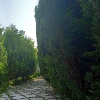 انجام کلیه موارد باغبانی