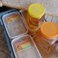 عسل بهاره درجه1