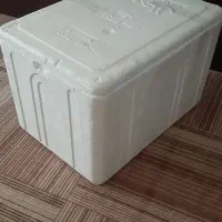 جا یخی