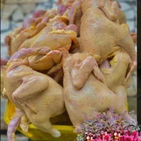 پناهنده|خوردنی و آشامیدنی|سوق, |دیوار