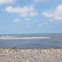 دربستی از تهران ب مشهد و مازندران|خدمات حمل و نقل|تهران, زرکش|دیوار