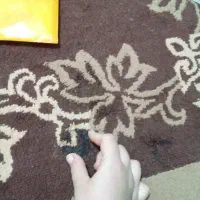 گلیم ۲و۲۵ در ۱و۵|گلیم، جاجیم، گبه|کرج, حیدرآباد|دیوار