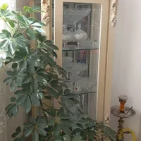 بوفه کاملا تمیز وسالم.از داخل آیینه خورده.