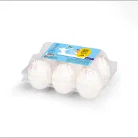 شرکت پخش تخم مرغ  سی دُرّ|خوردنی و آشامیدنی|ارومیه, |دیوار